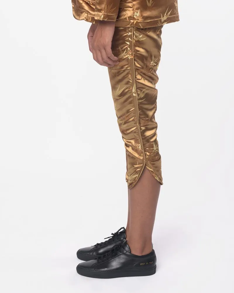 Indii Pant in Prosperous Gold