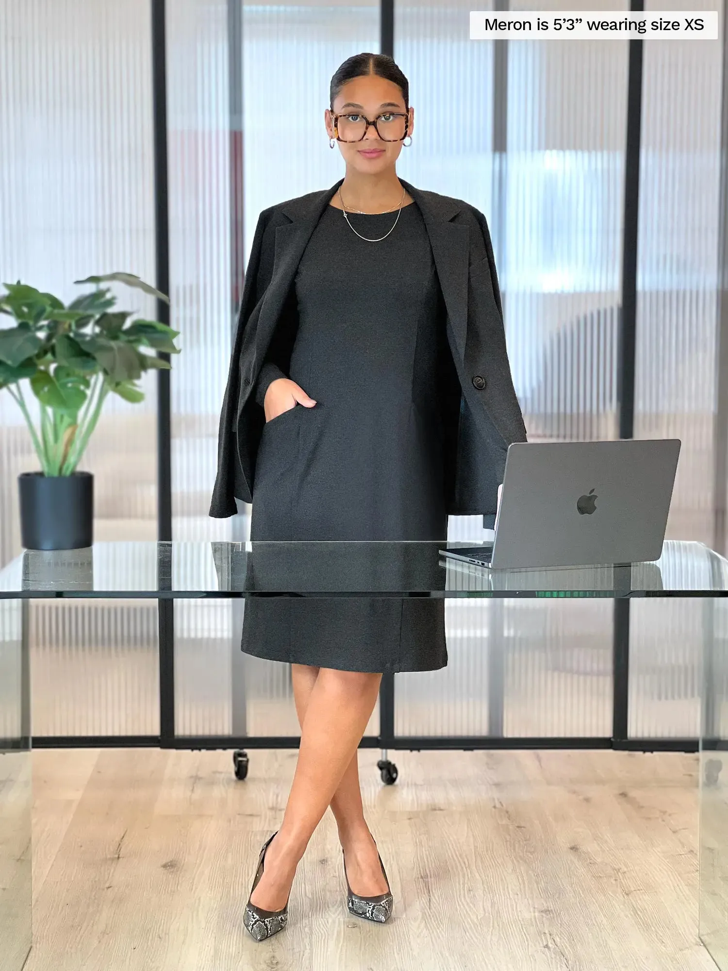 Soraya long sleeve scoop neck dress